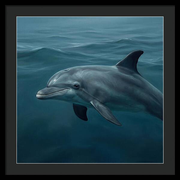Dolphin Swimming Gracefully