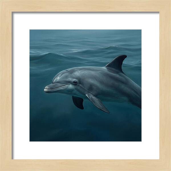 Dolphin Swimming Gracefully