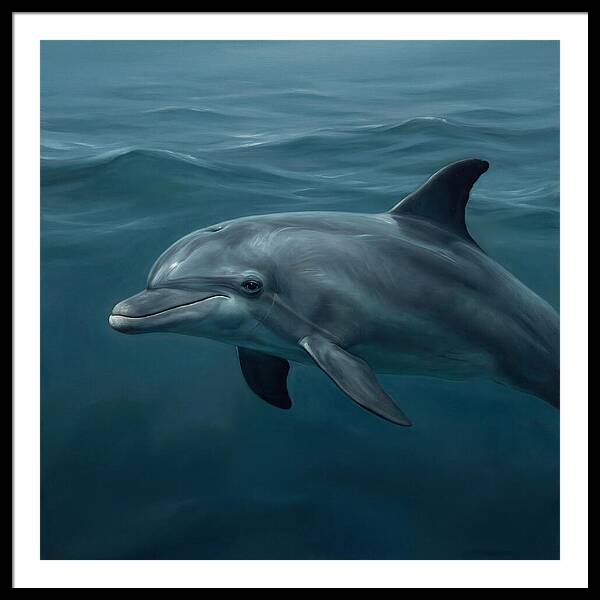 Dolphin Swimming Gracefully