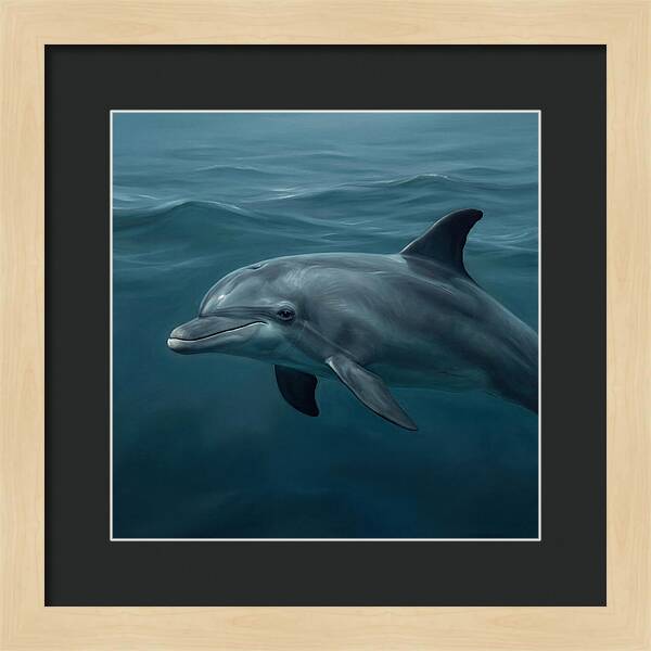 Dolphin Swimming Gracefully