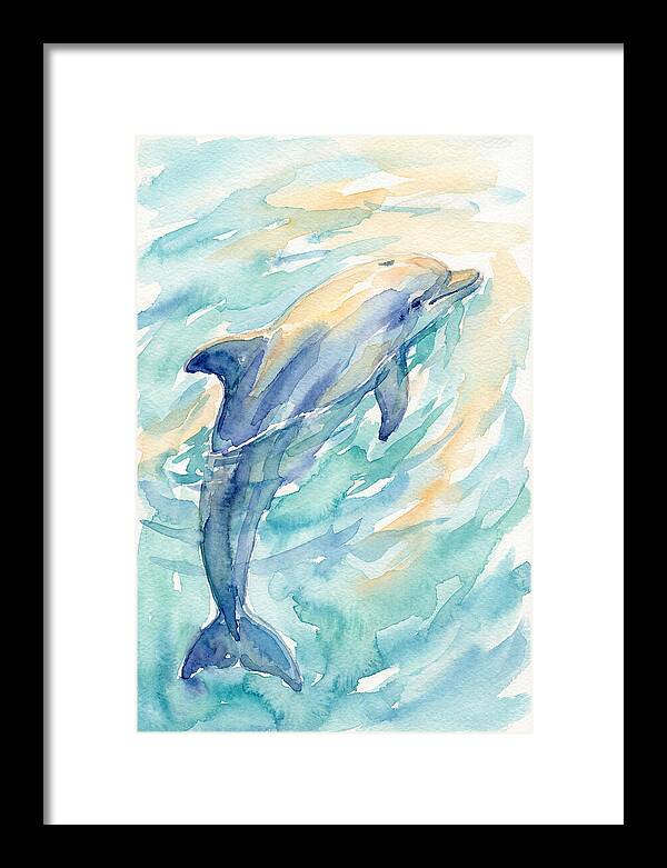 Dolphin Swimming In Water