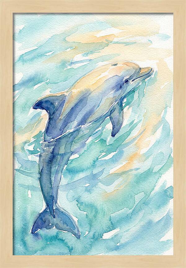 Dolphin Swimming In Water