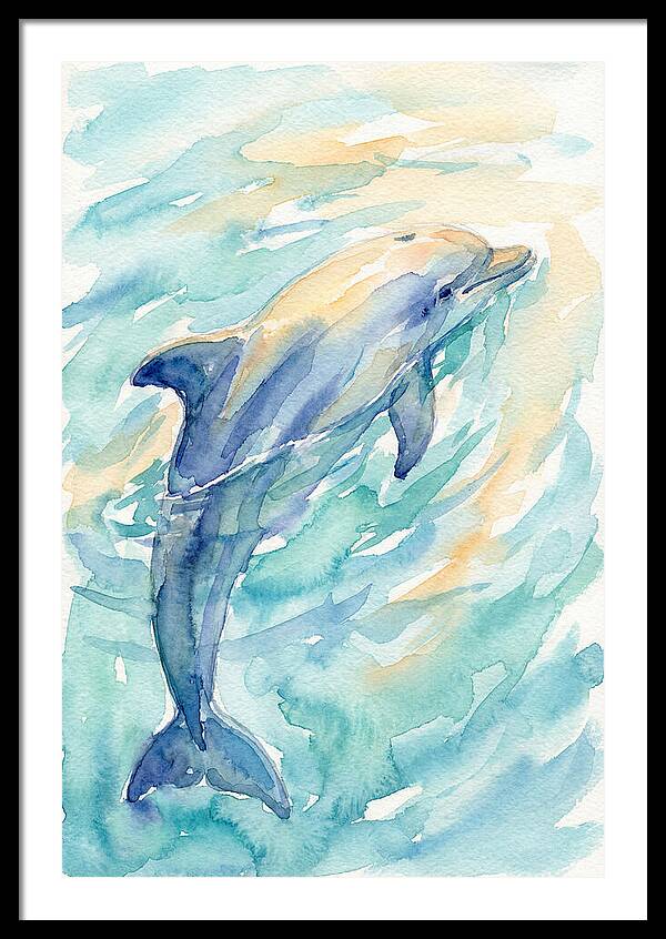 Dolphin Swimming In Water
