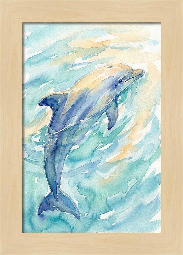Dolphin Swimming In Water