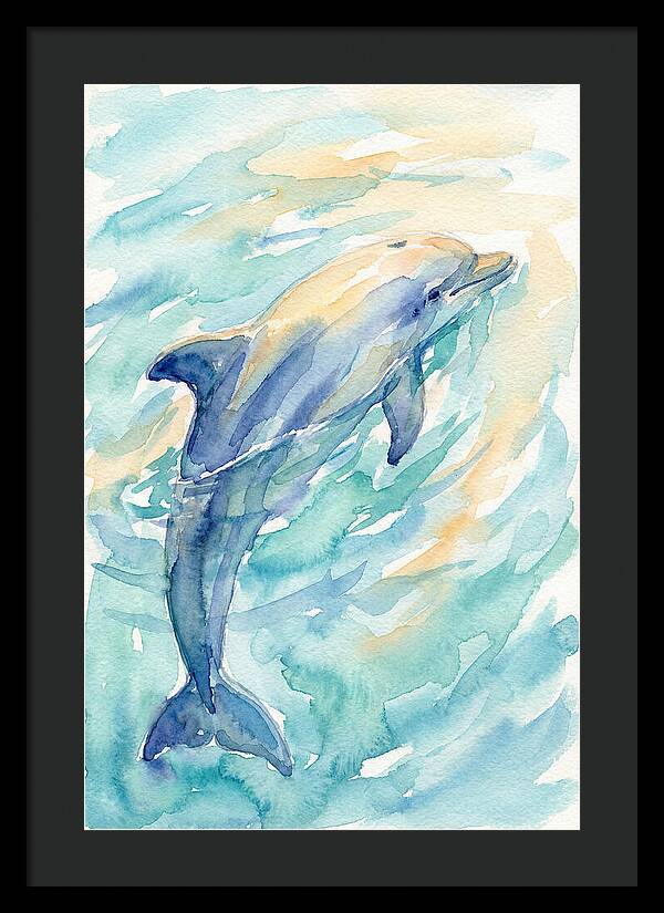 Dolphin Swimming In Water