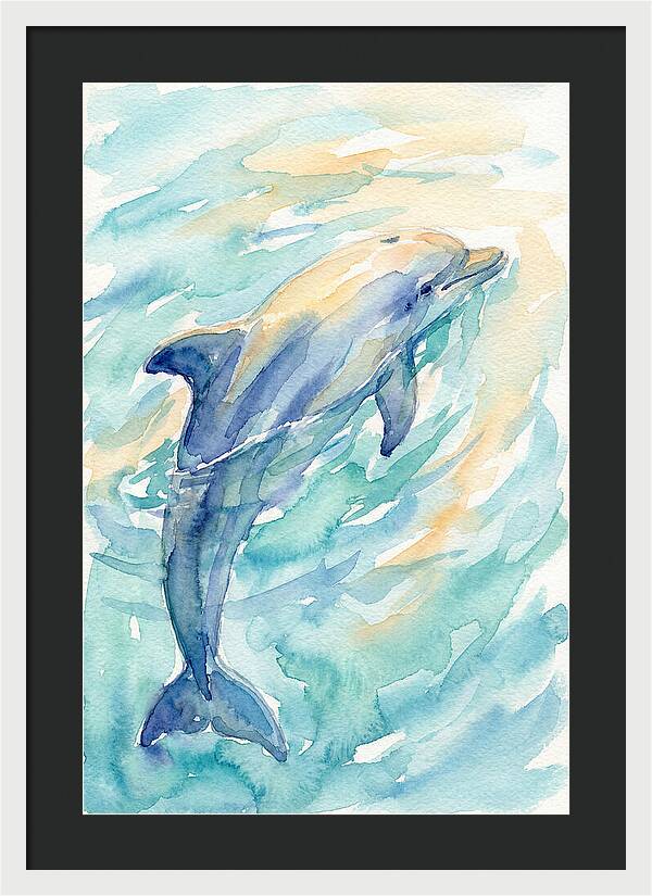 Dolphin Swimming In Water
