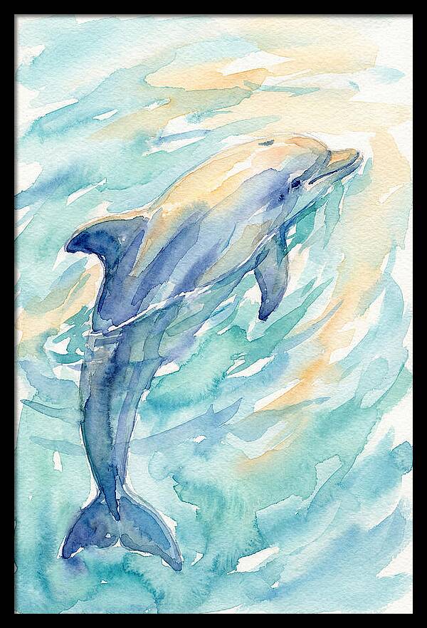 Dolphin Swimming In Water