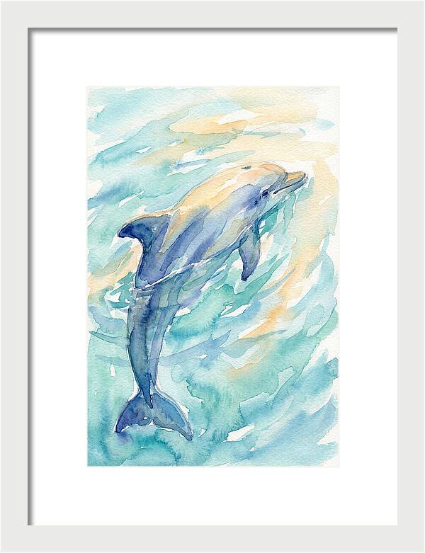 Dolphin Swimming In Water