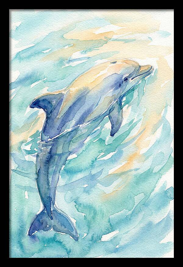 Dolphin Swimming In Water