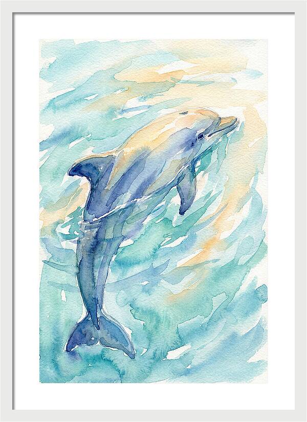 Dolphin Swimming In Water