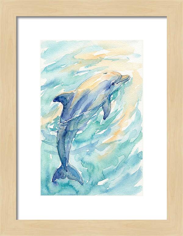 Dolphin Swimming In Water