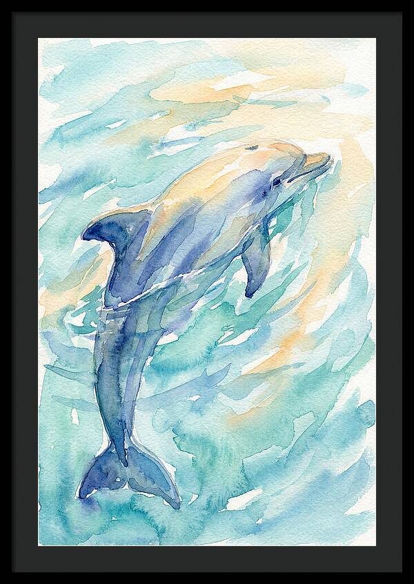 Dolphin Swimming In Water
