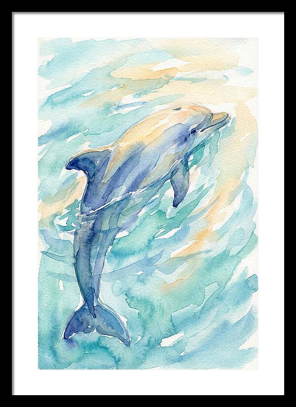 Dolphin Swimming In Water
