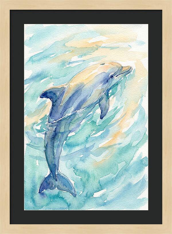 Dolphin Swimming In Water