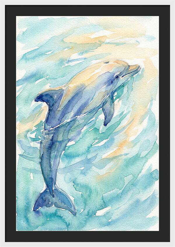 Dolphin Swimming In Water