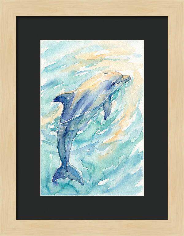 Dolphin Swimming In Water
