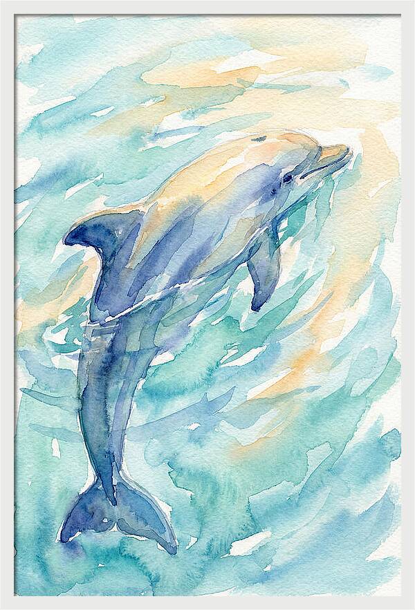 Dolphin Swimming In Water