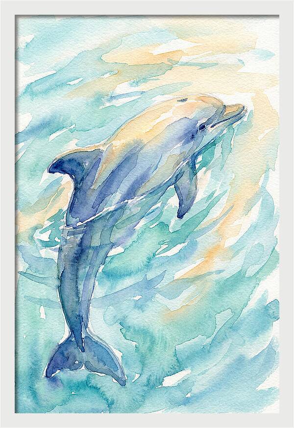 Dolphin Swimming In Water