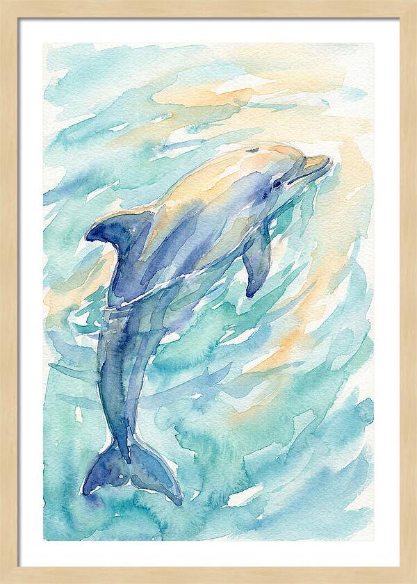 Dolphin Swimming In Water