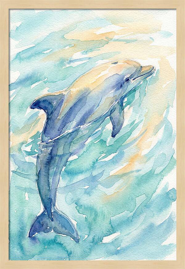 Dolphin Swimming In Water
