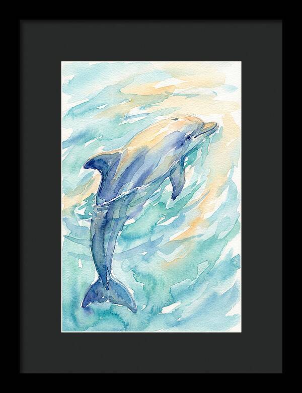 Dolphin Swimming In Water