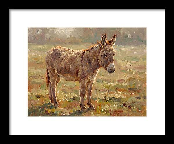 Donkey In Sunlit Pasture