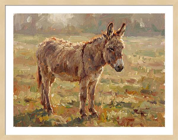 Donkey In Sunlit Pasture