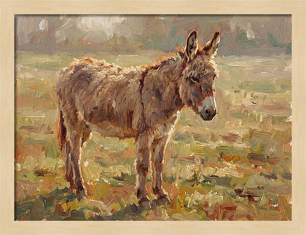 Donkey In Sunlit Pasture