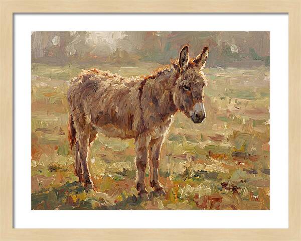 Donkey In Sunlit Pasture