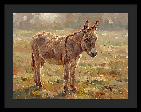 Donkey In Sunlit Pasture
