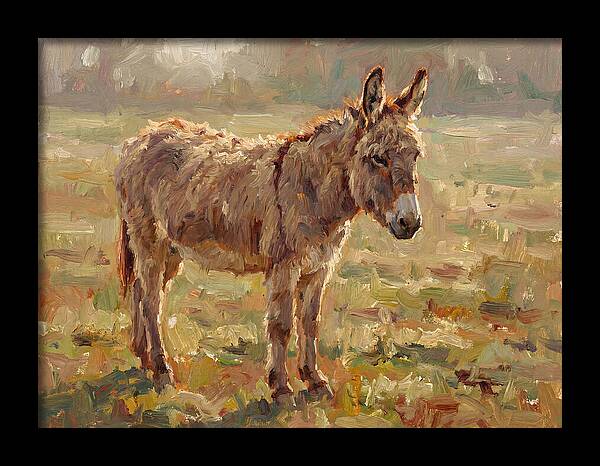Donkey In Sunlit Pasture