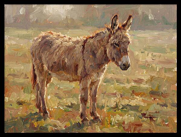 Donkey In Sunlit Pasture