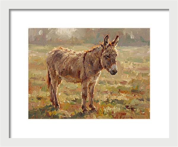 Donkey In Sunlit Pasture