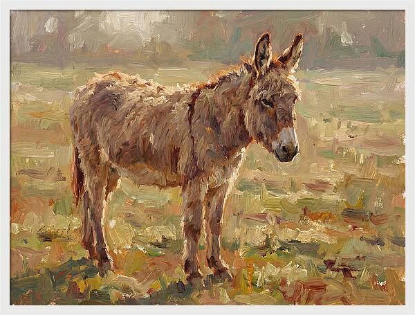 Donkey In Sunlit Pasture