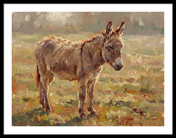 Donkey In Sunlit Pasture
