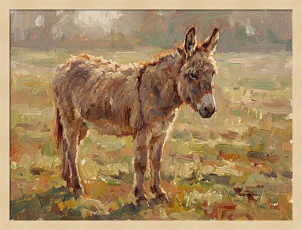 Donkey In Sunlit Pasture