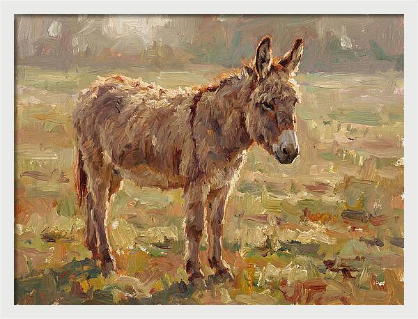 Donkey In Sunlit Pasture