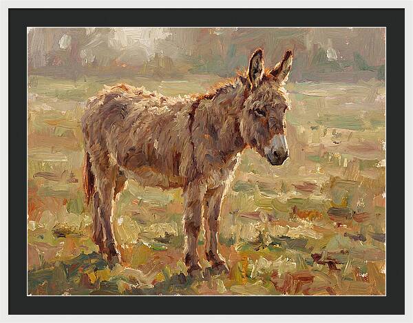 Donkey In Sunlit Pasture