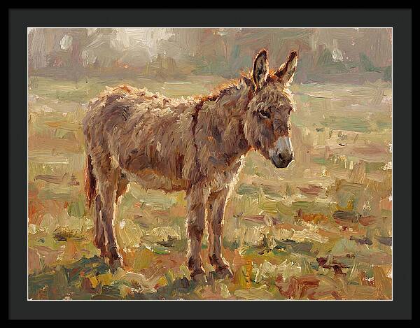 Donkey In Sunlit Pasture