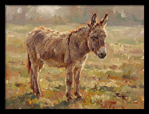 Donkey In Sunlit Pasture