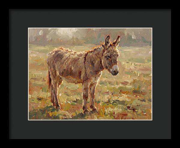 Donkey In Sunlit Pasture