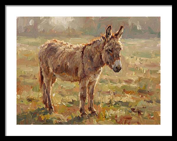 Donkey In Sunlit Pasture