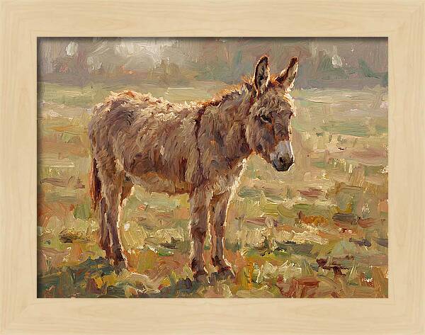 Donkey In Sunlit Pasture