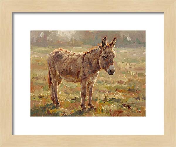 Donkey In Sunlit Pasture