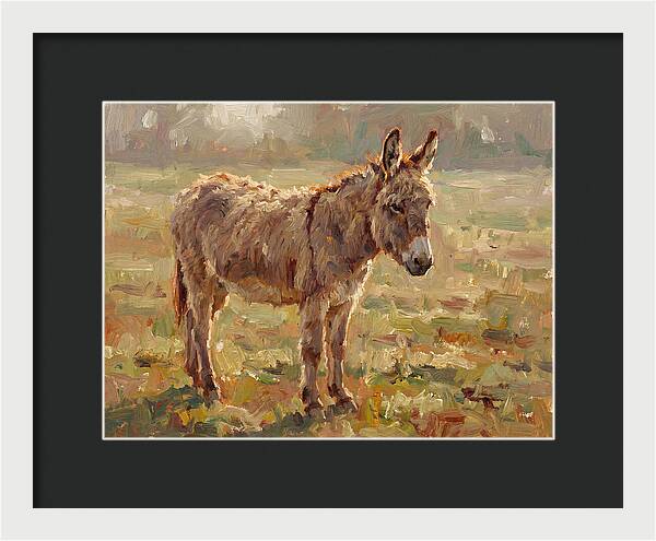 Donkey In Sunlit Pasture
