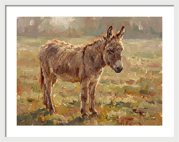 Donkey In Sunlit Pasture
