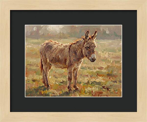 Donkey In Sunlit Pasture