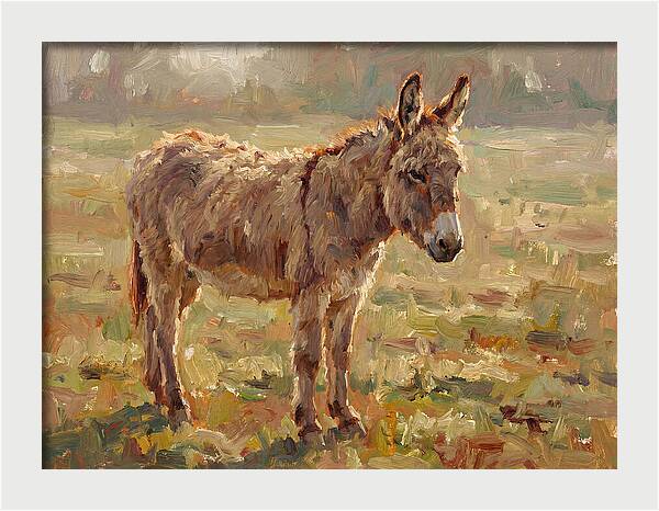 Donkey In Sunlit Pasture