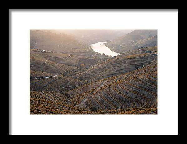 Douro Valley Autumn Serenity