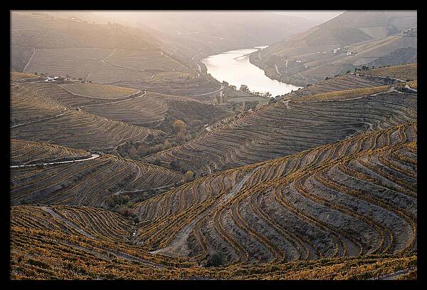 Douro Valley Autumn Serenity